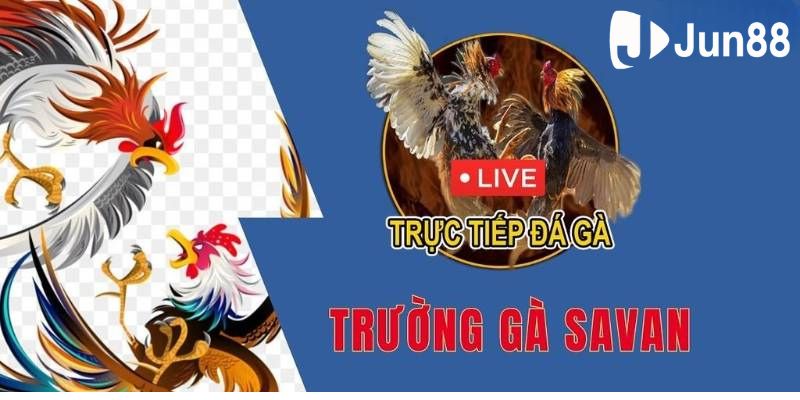 Đặc điểm quy tắc hoạt động