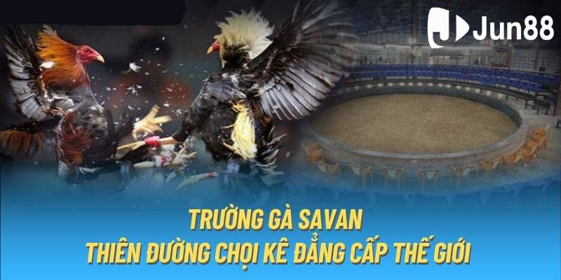 Hướng dẫn cách tham gia